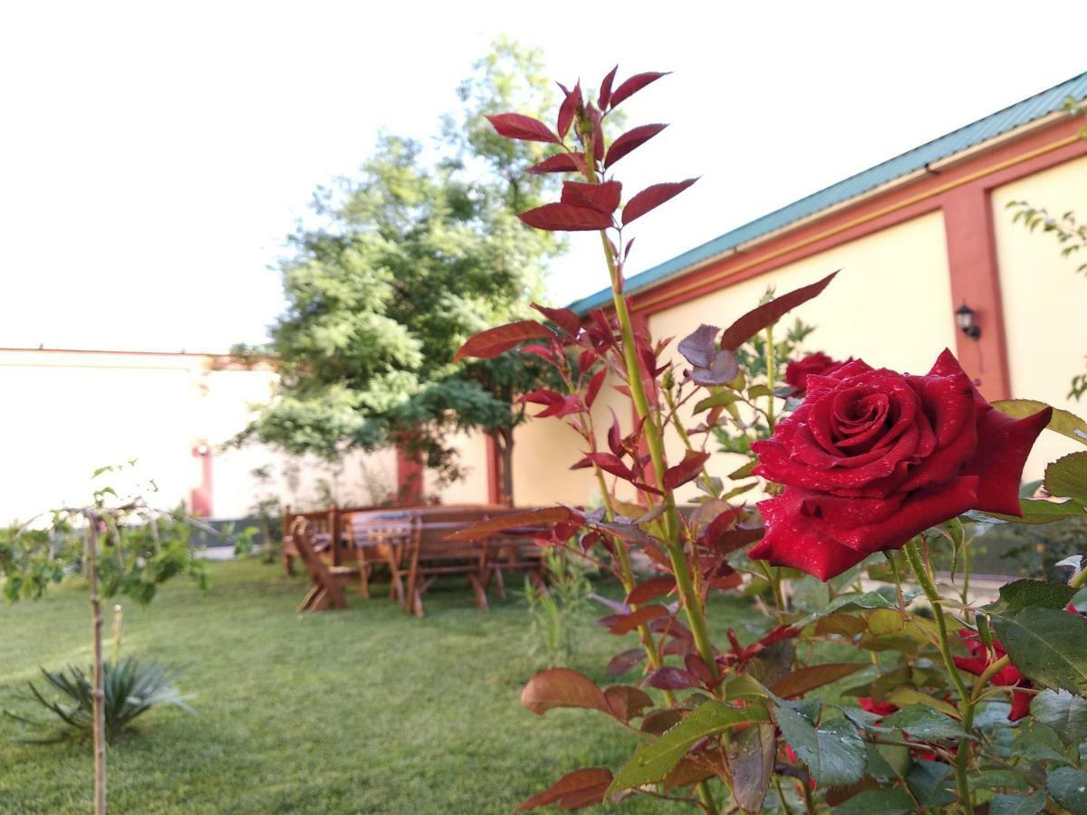 טשקנט Chinor Garden Hotel - Free Airport Pick-Up And Drop-Off מראה חיצוני תמונה